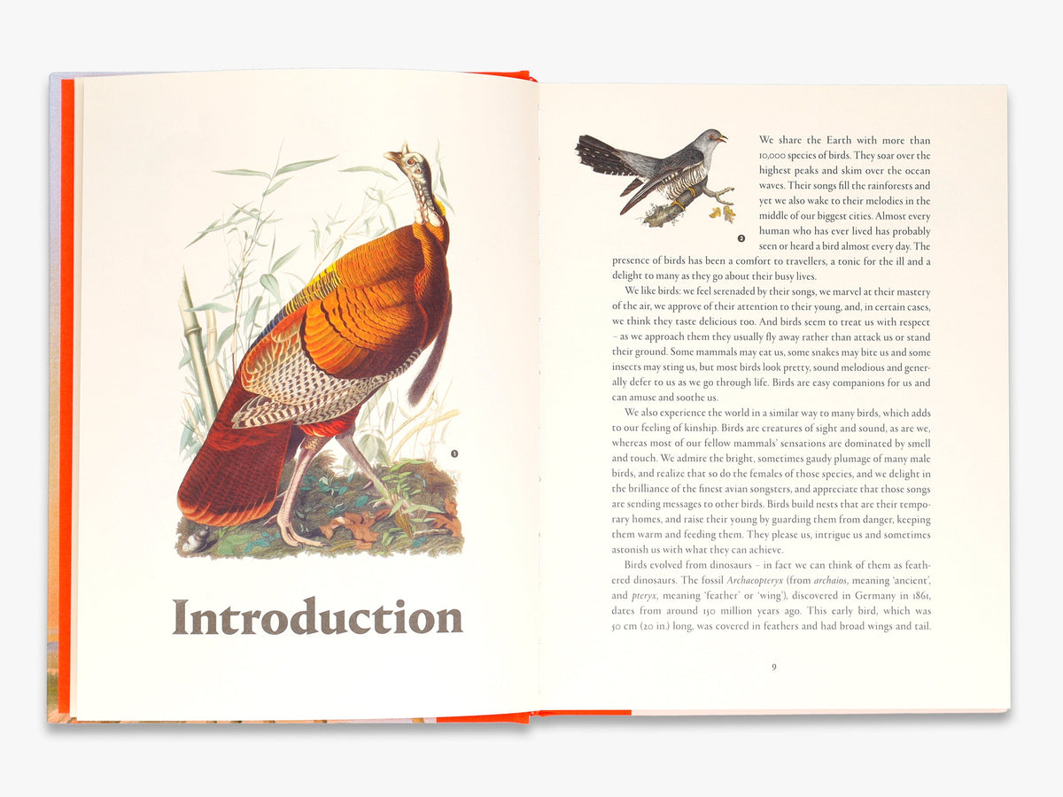 Remarkable Birds - Mark Avery