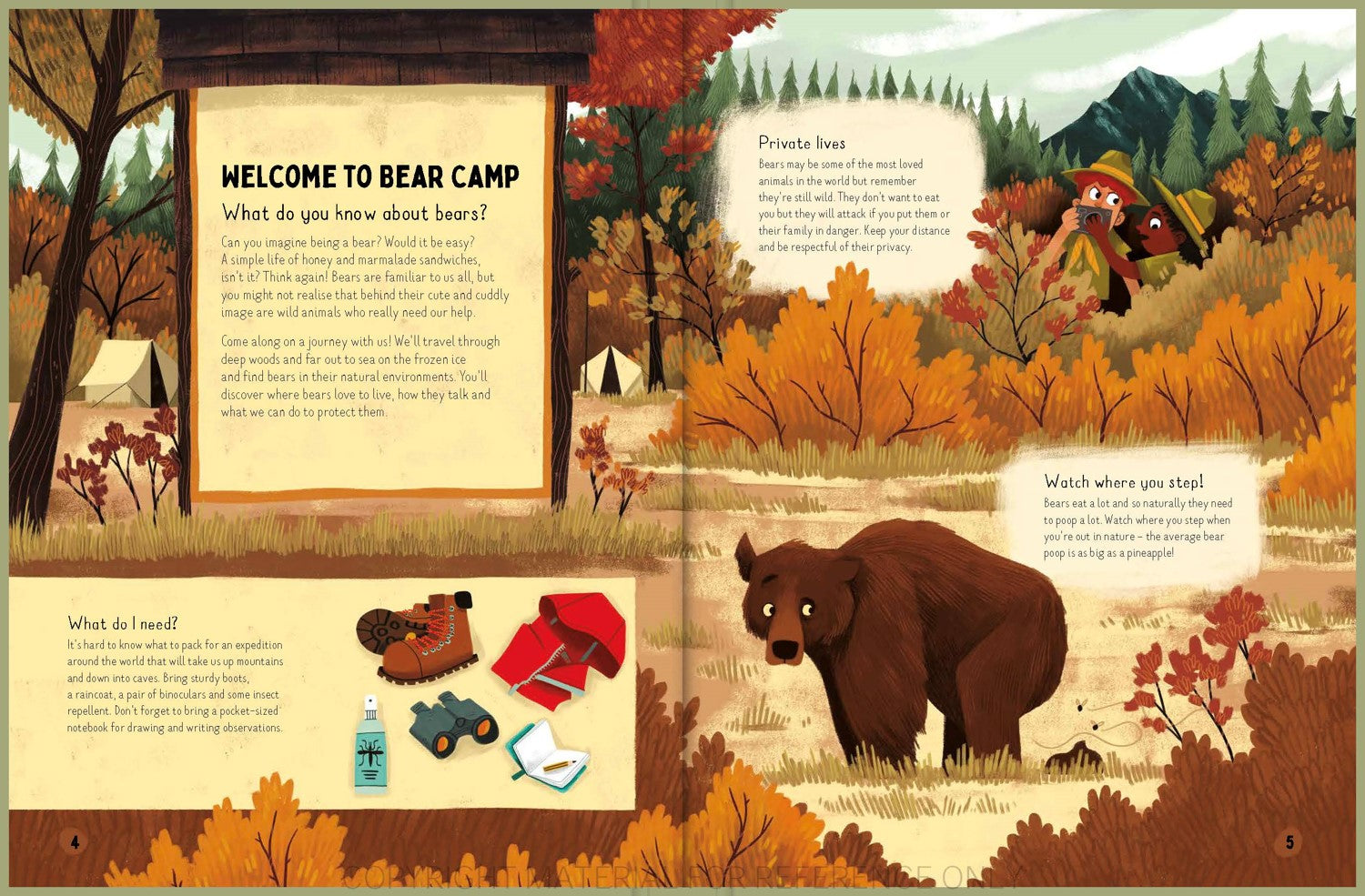 Do bears poop in the woods?