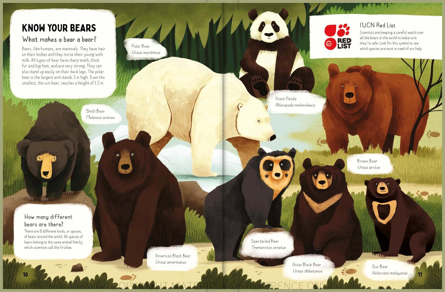 Do bears poop in the woods?
