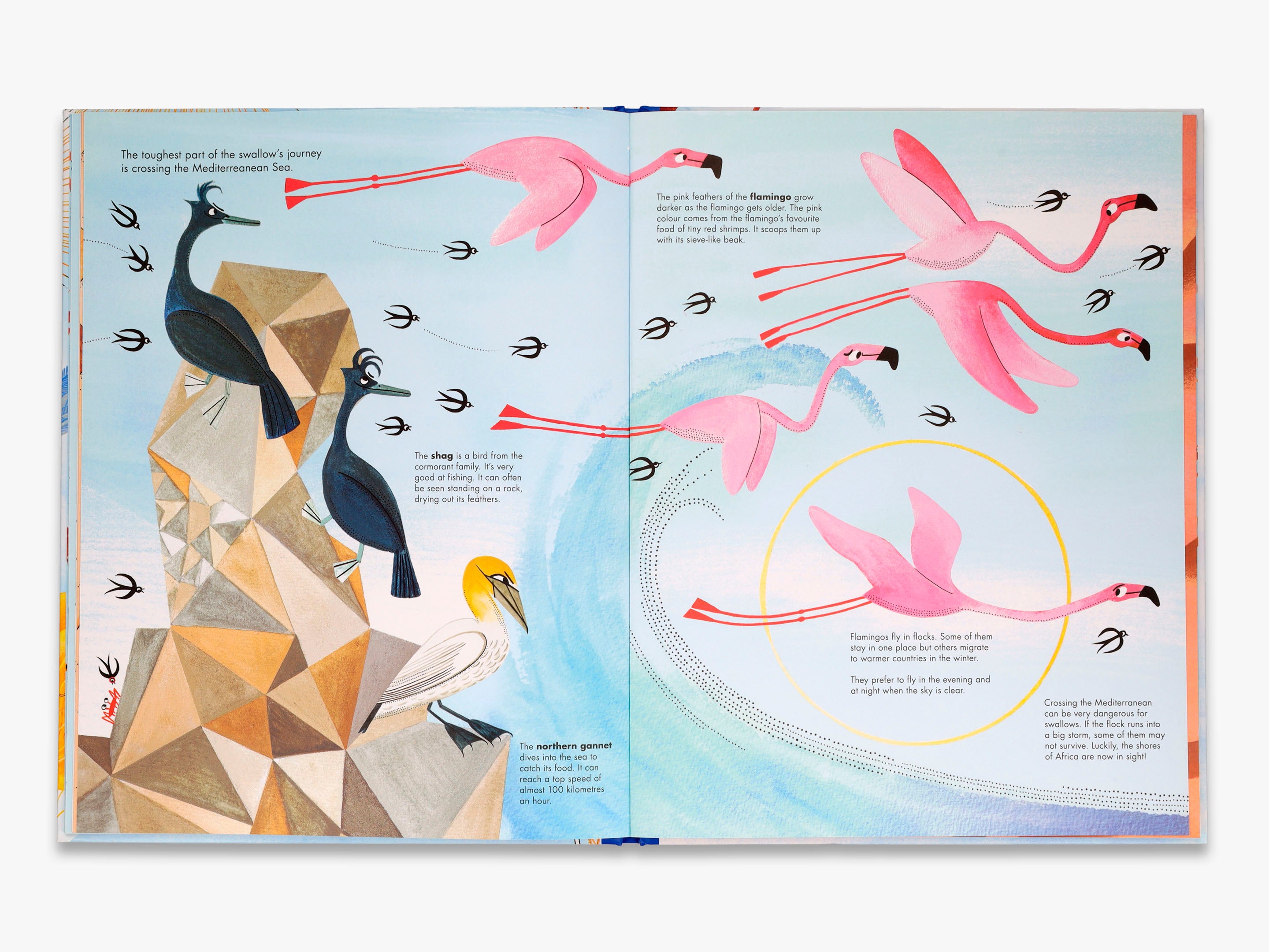 1001 Birds