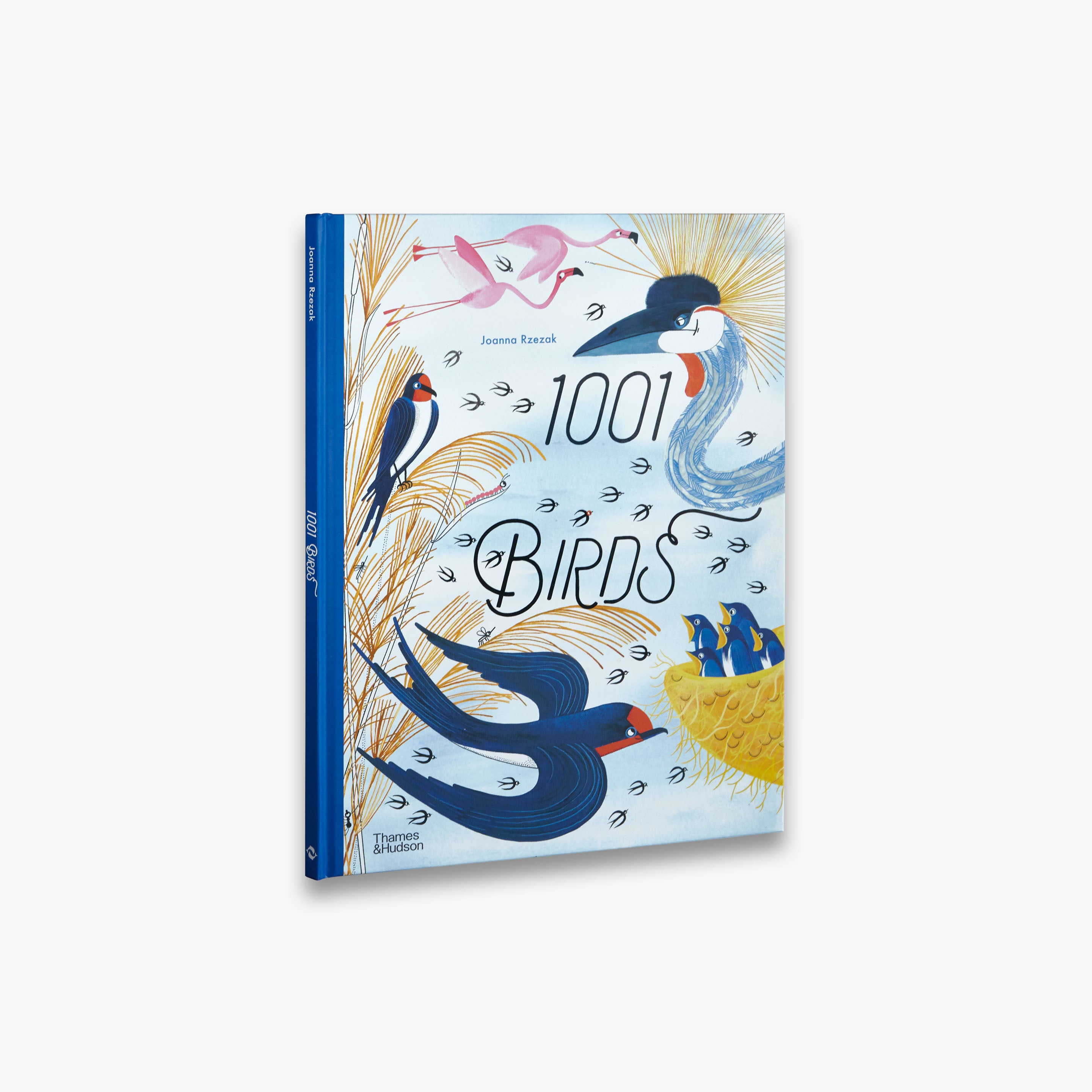 1001 Birds