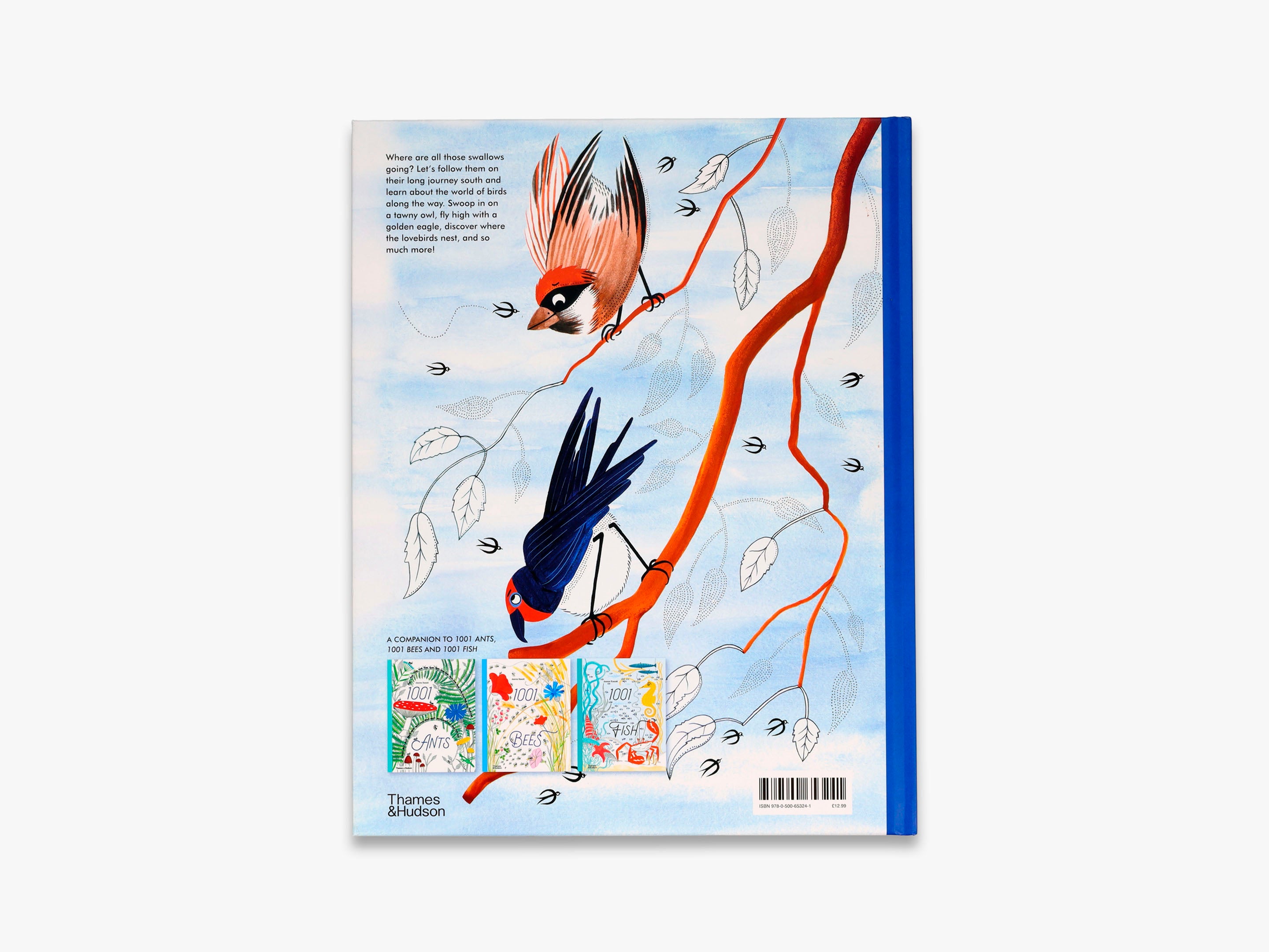 1001 Birds