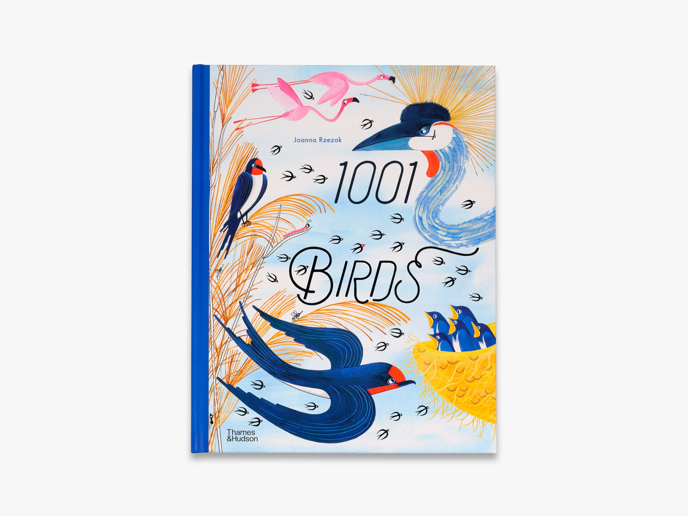 1001 Birds