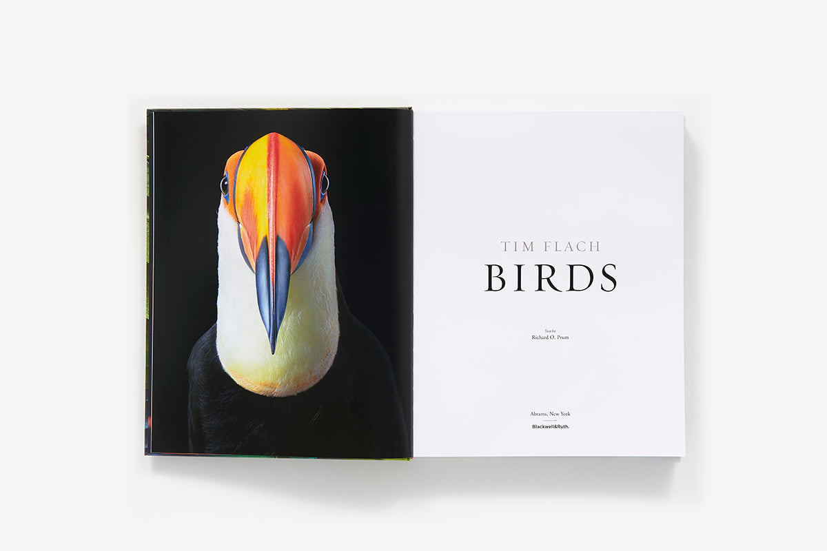 Birds By Tim Flach