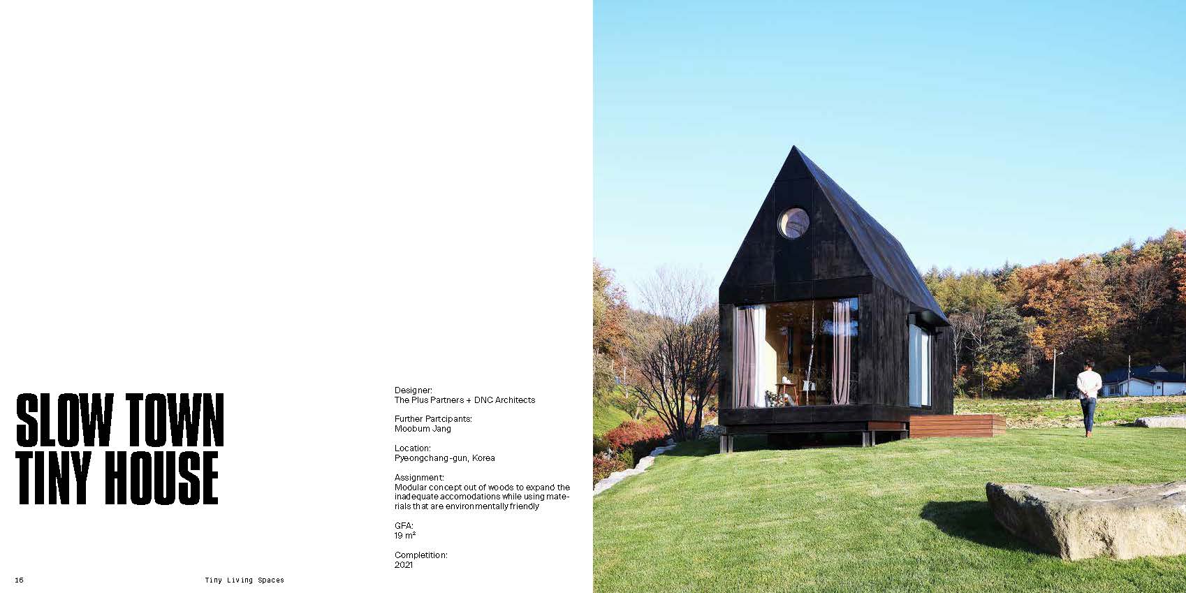 Tiny Living Spaces: Innovative Design Solutions