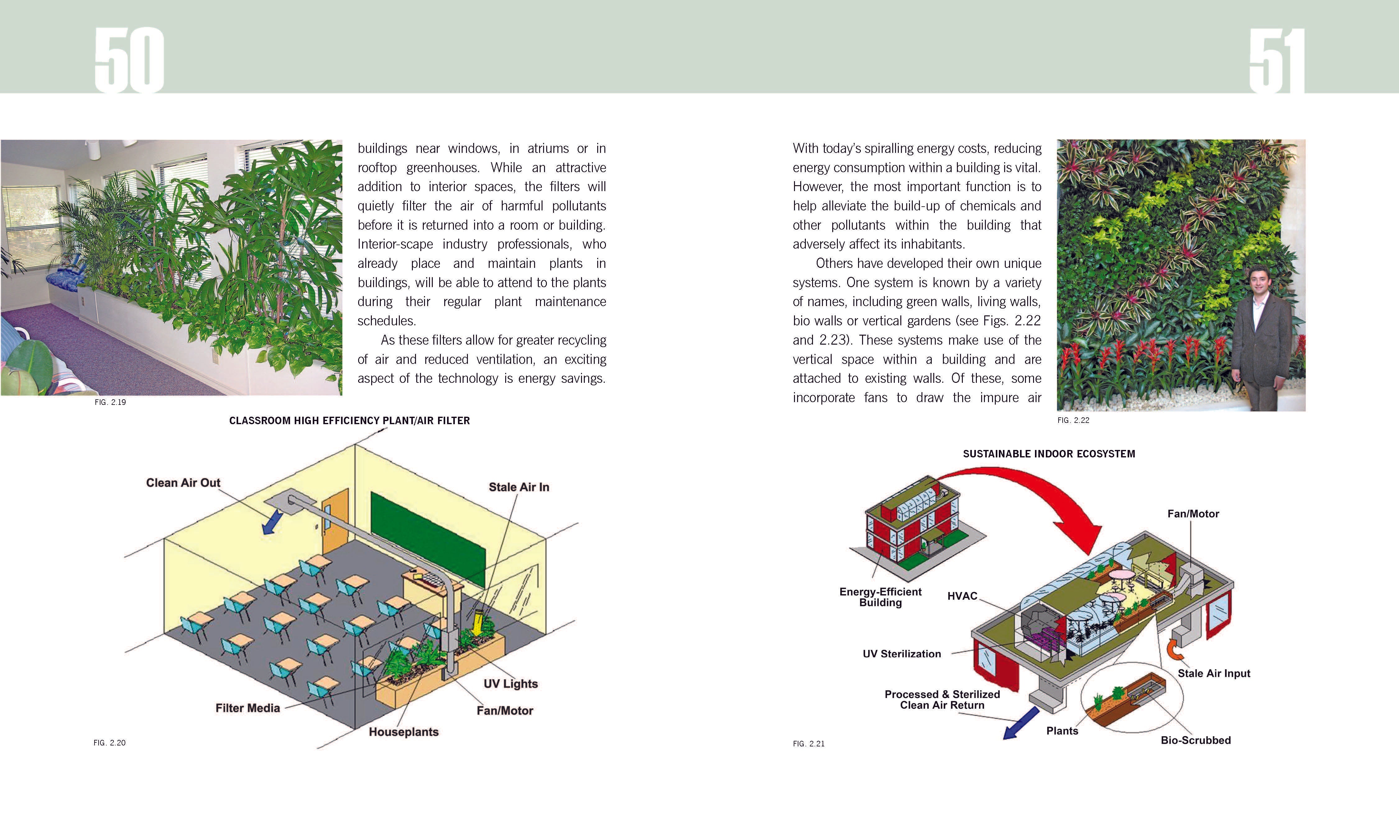 Plants: Why You Can'T Live With Out Them