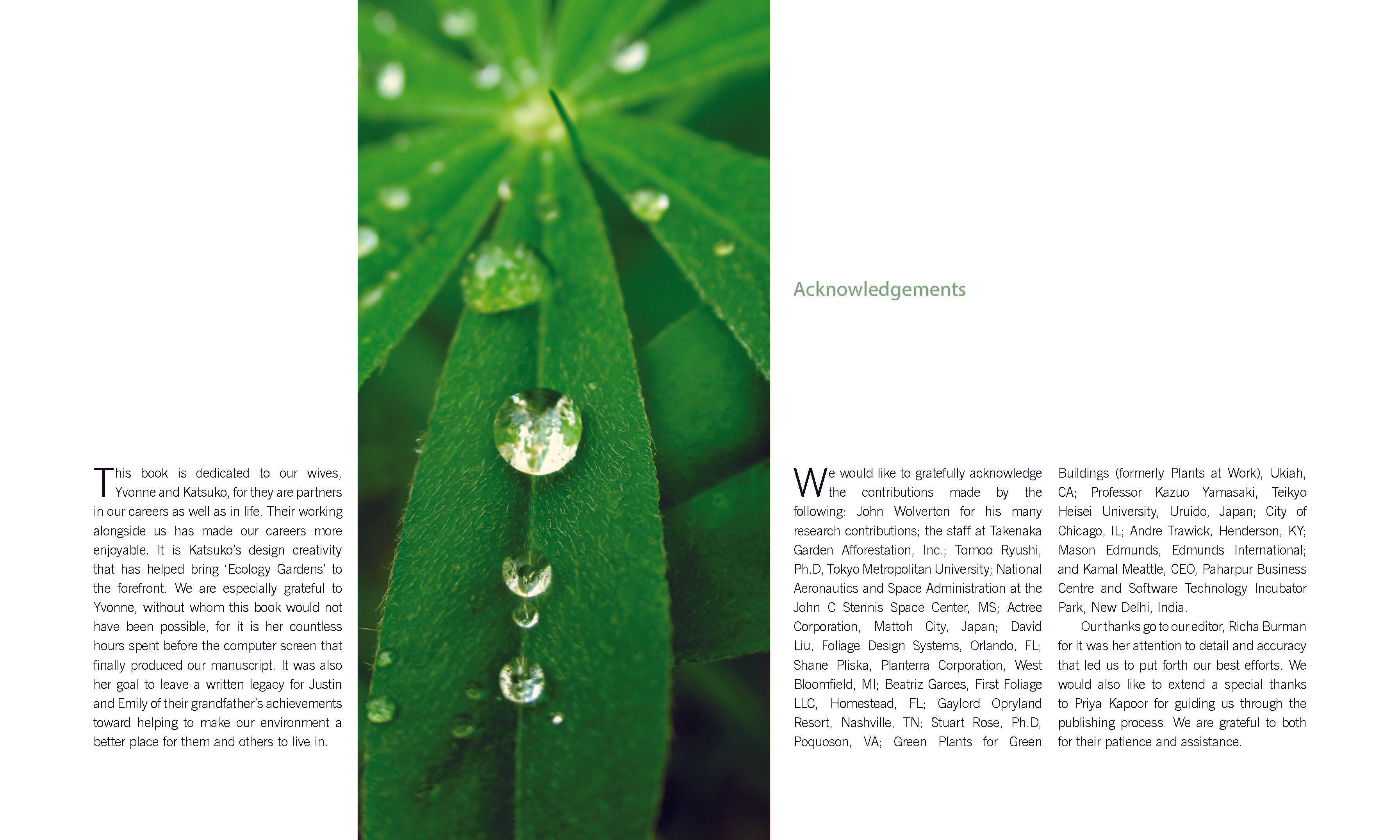 Plants: Why You Can'T Live With Out Them