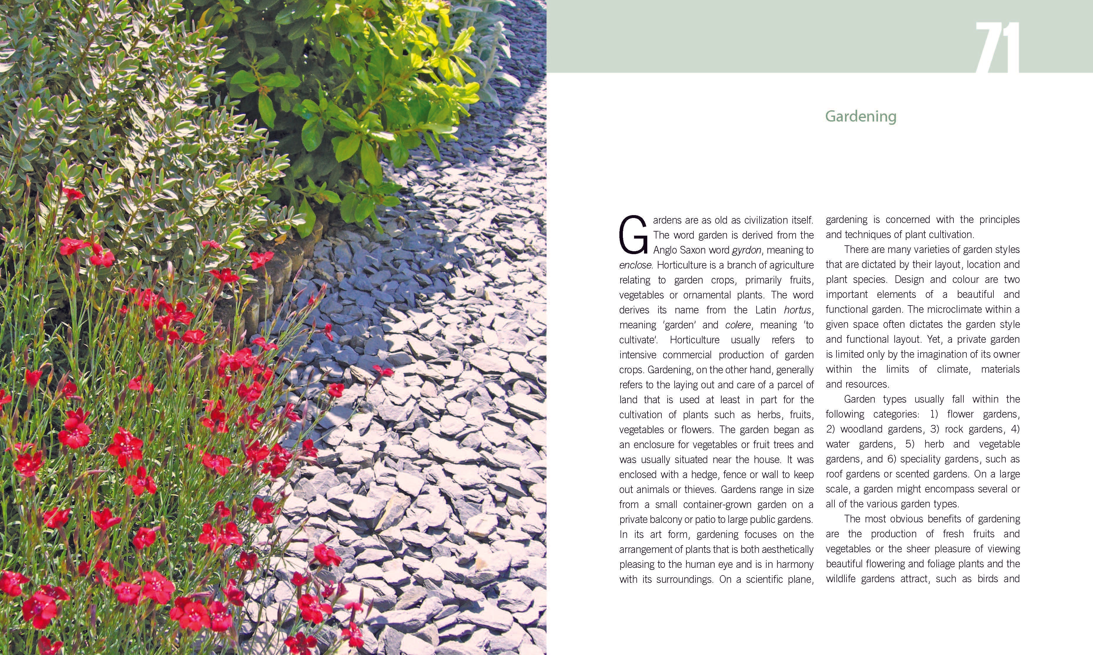 Plants: Why You Can'T Live With Out Them