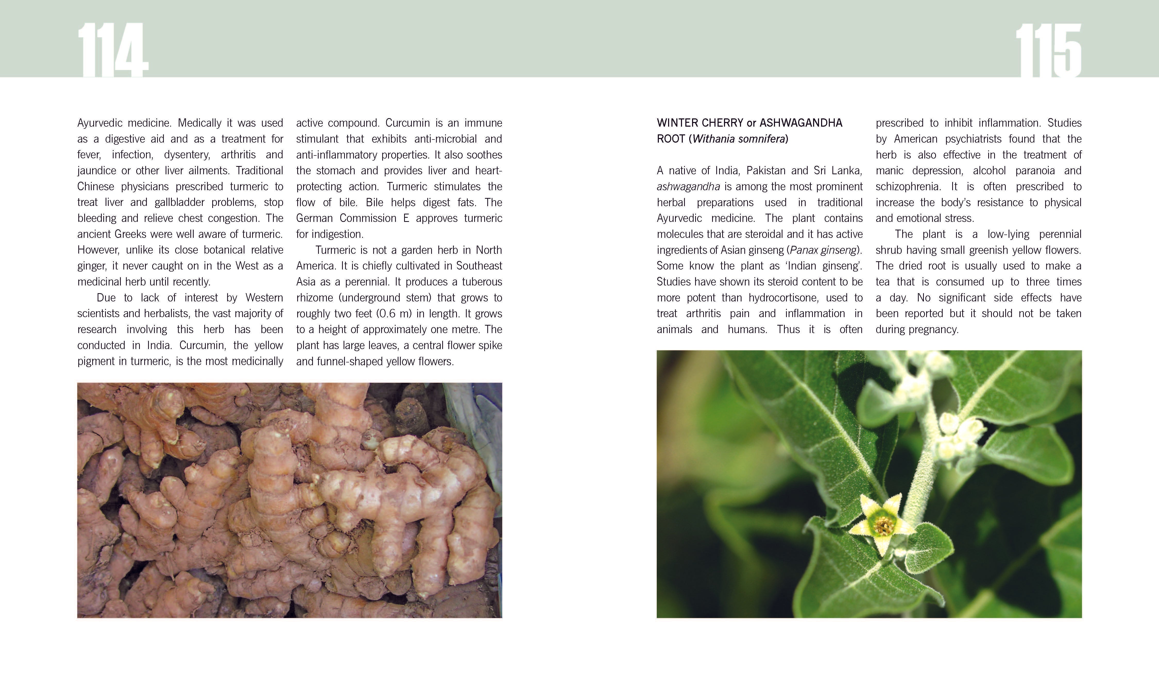 Plants: Why You Can'T Live With Out Them