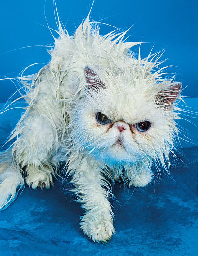 Toiletpaper Magazine 18