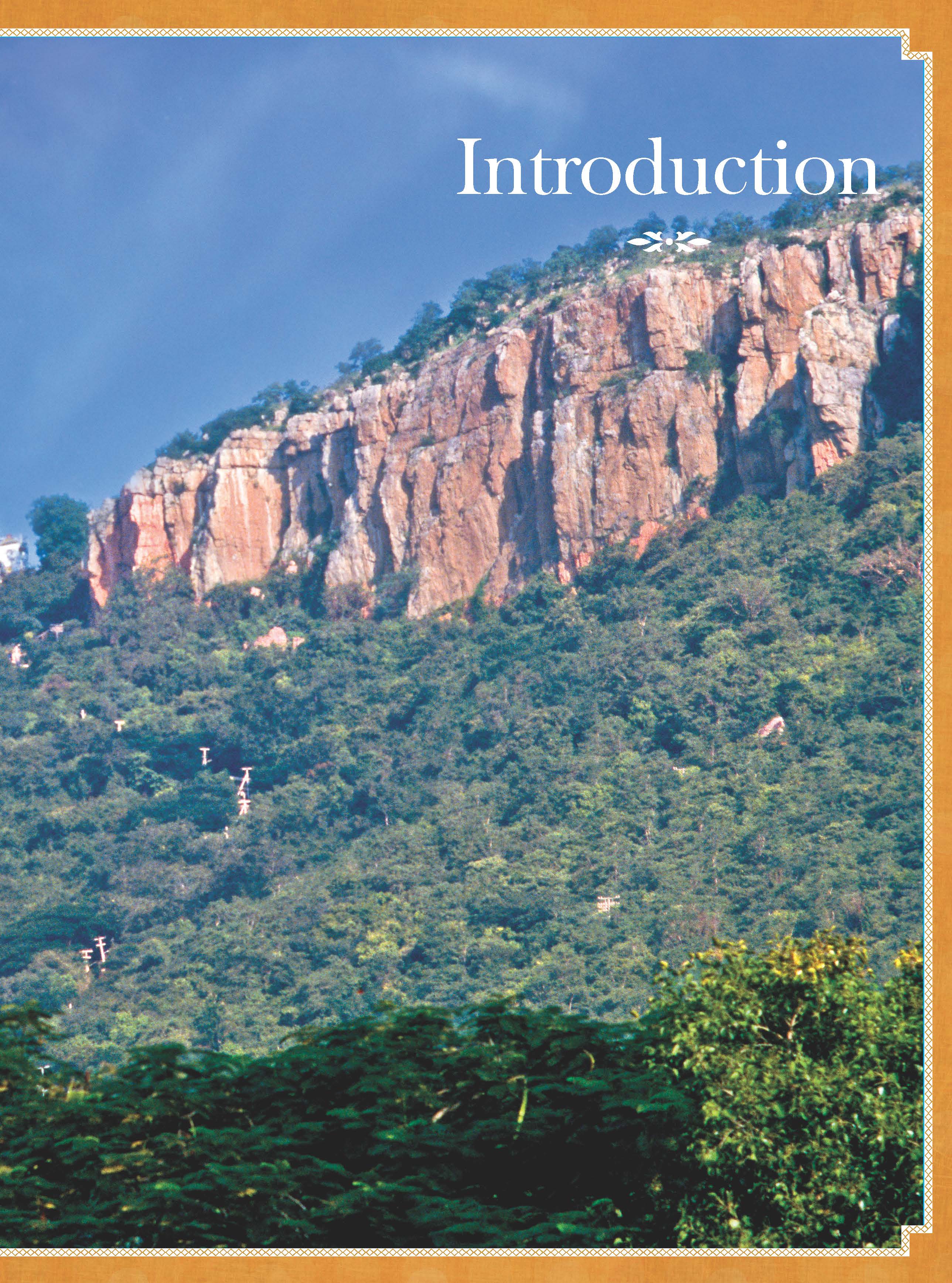 Tirumala: Sacred Foods Of God