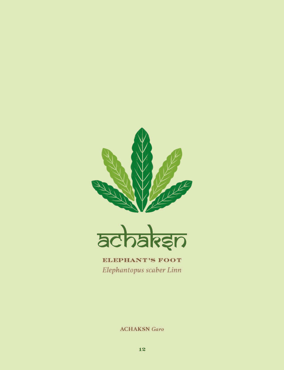 The Herbal Sutra Indian Wisdom & Wellness Through 100 Herbs CMYK