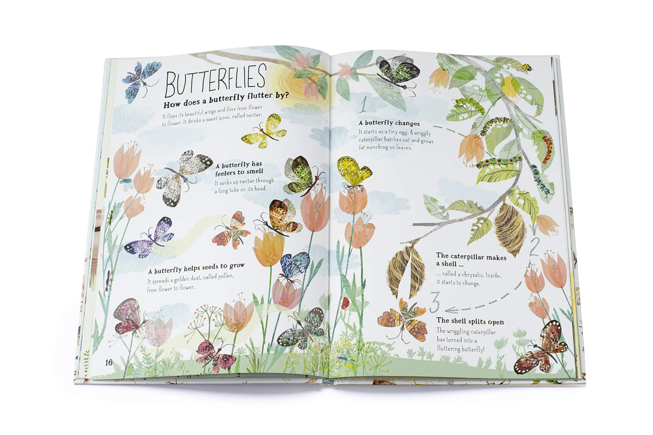 The Big Book of Bugs