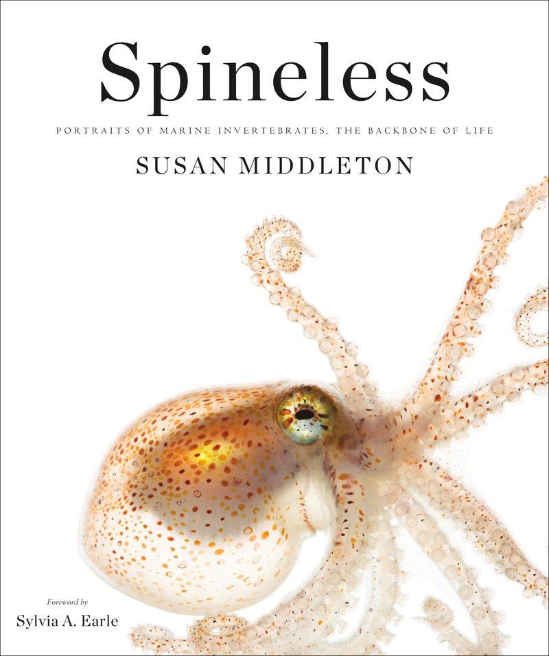 Spineless