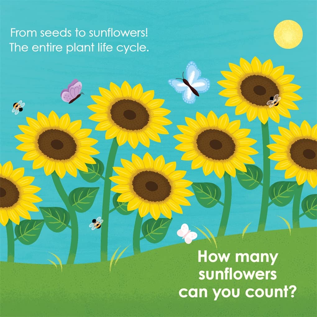 Montessori: Seed Work