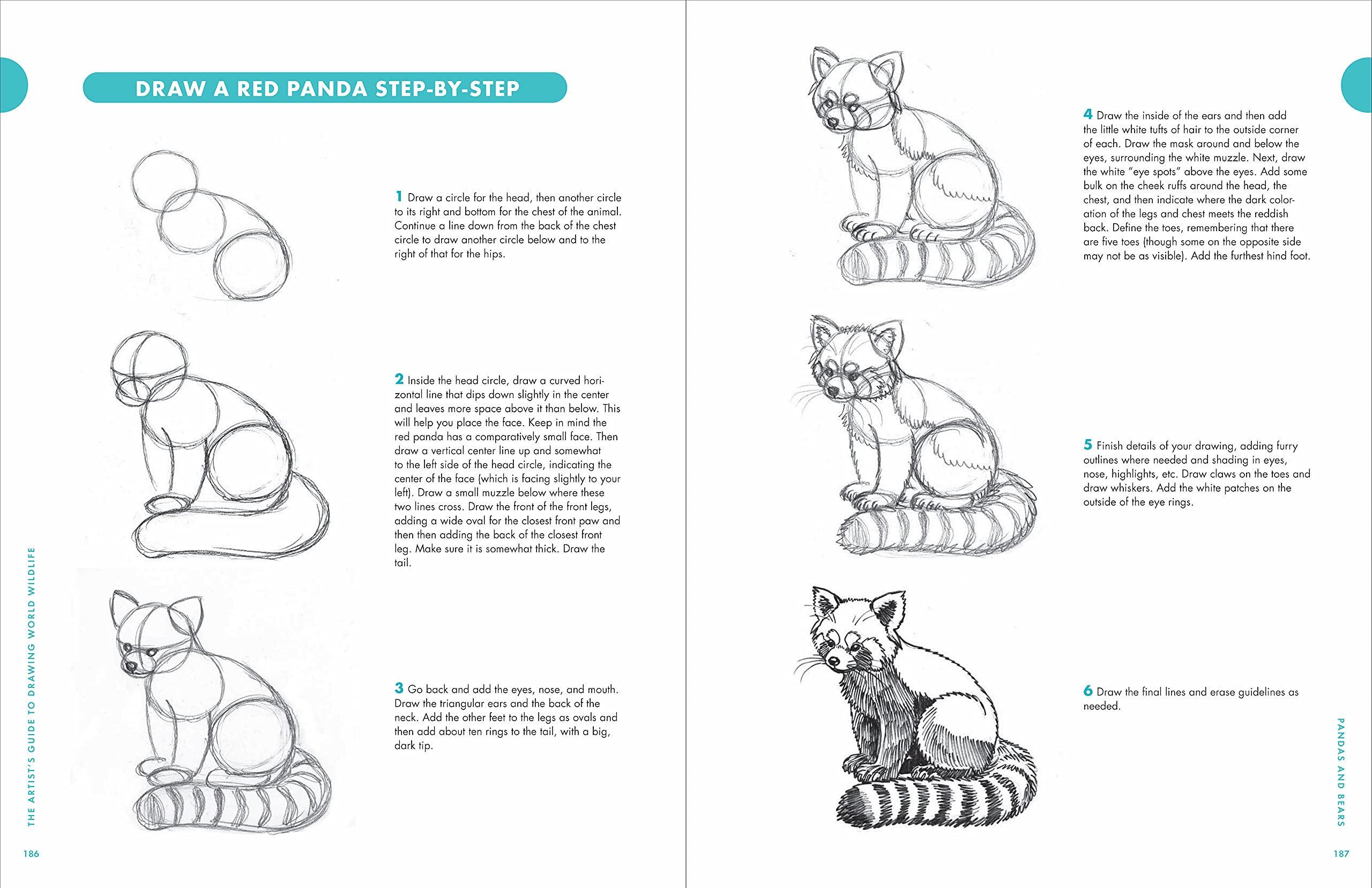 Artist'S Guide To Drawing World Wildlife : Essential Step-By-Step Lessons For Beginners