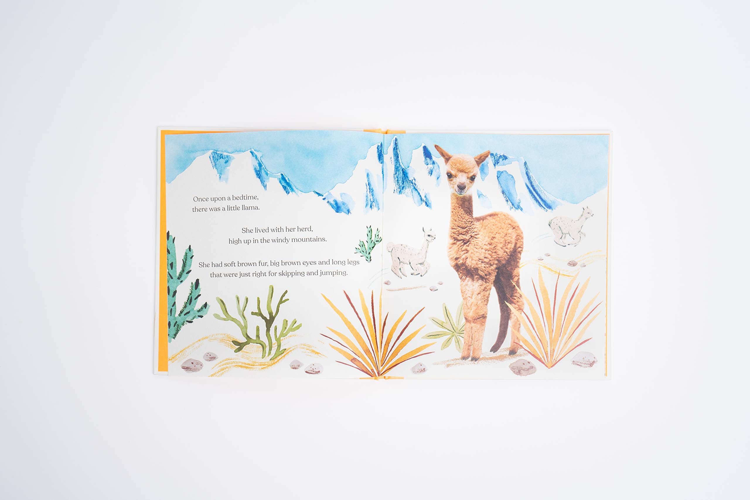 Goodnight Little Llama