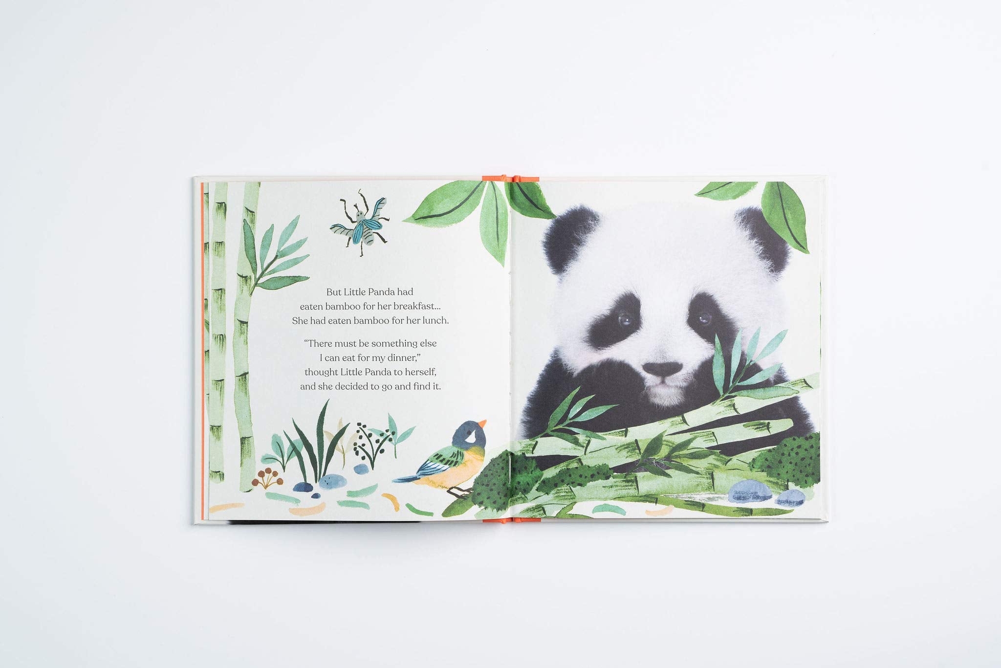 Goodnight, Little Panda