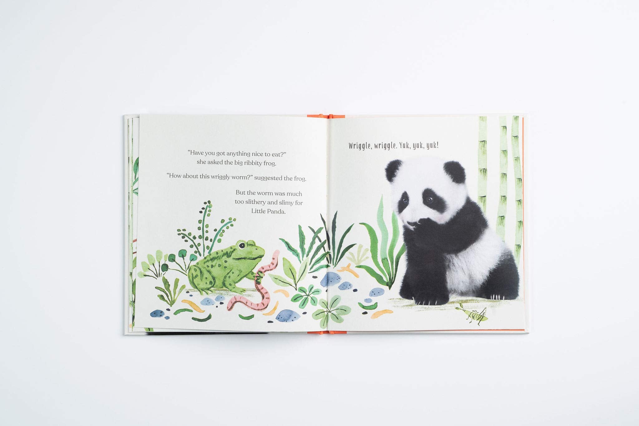Goodnight, Little Panda