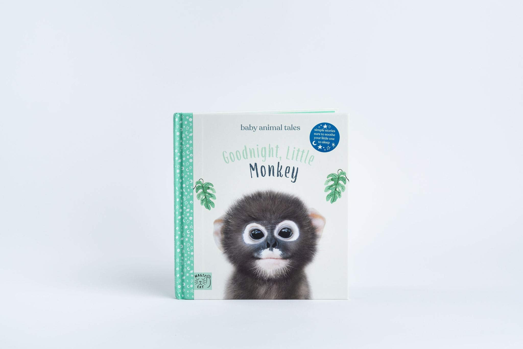 Goodnight, Little Monkey
