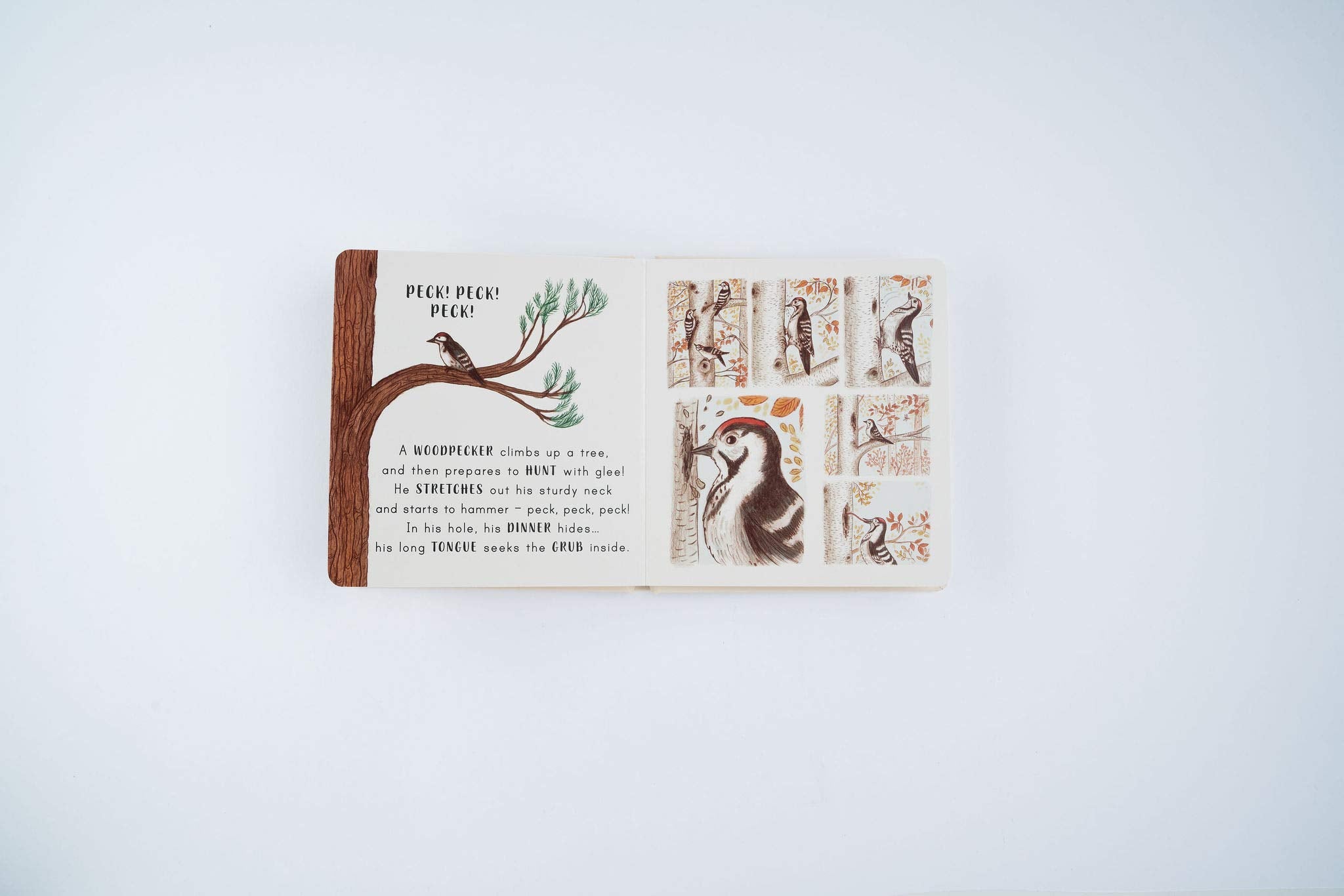 Slow Down. . . Discover Nature in the Park