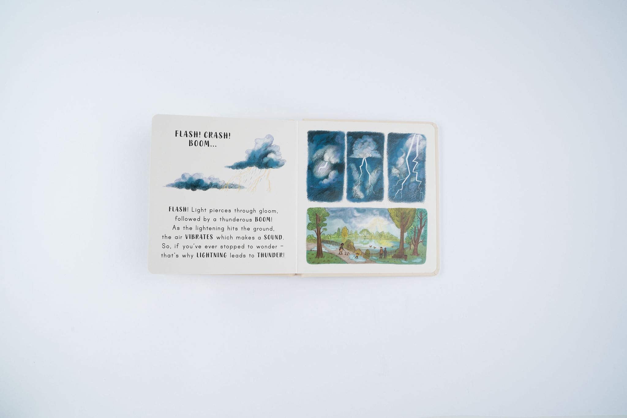 Slow Down. . . Discover Nature in the Park