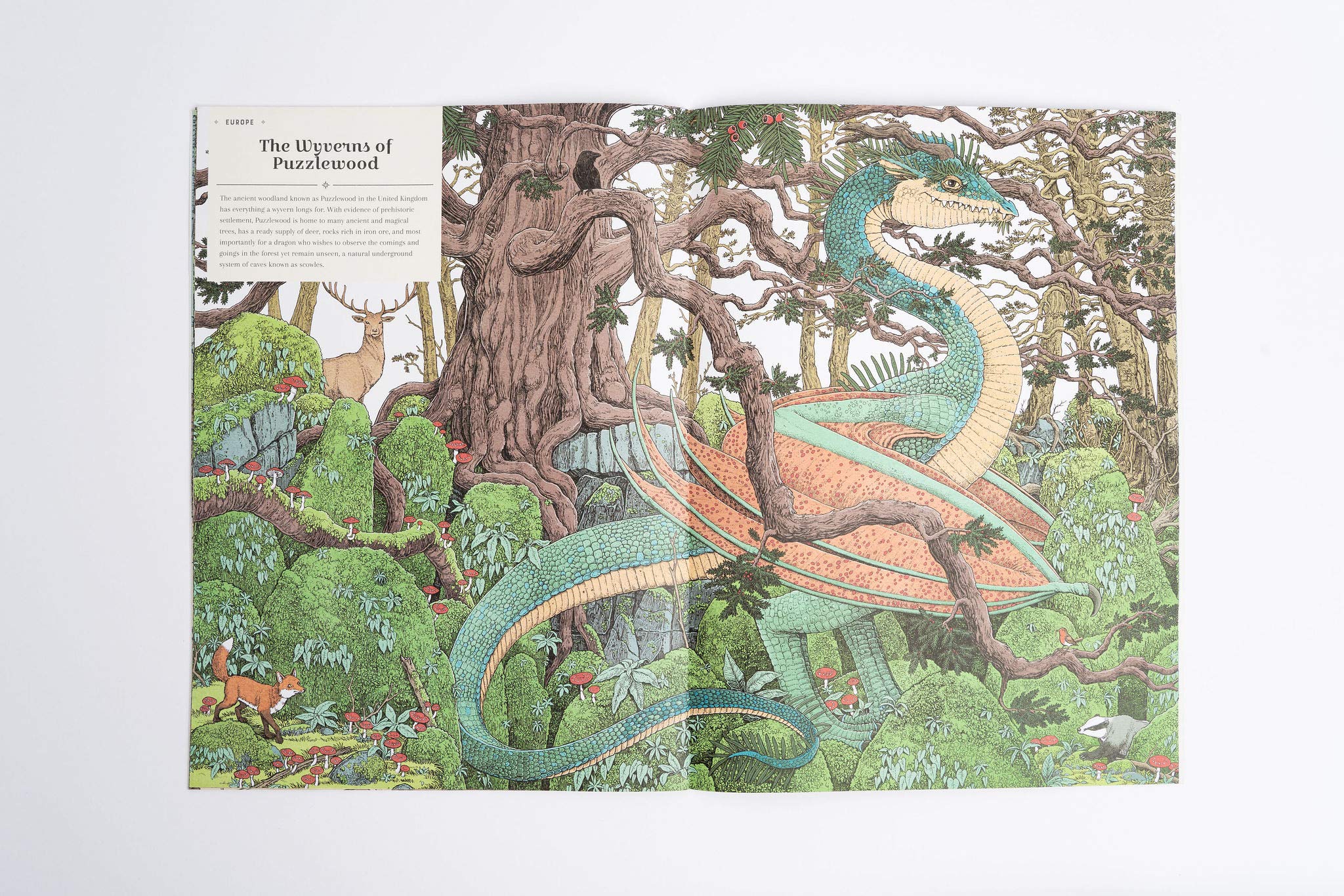The Dragon Ark