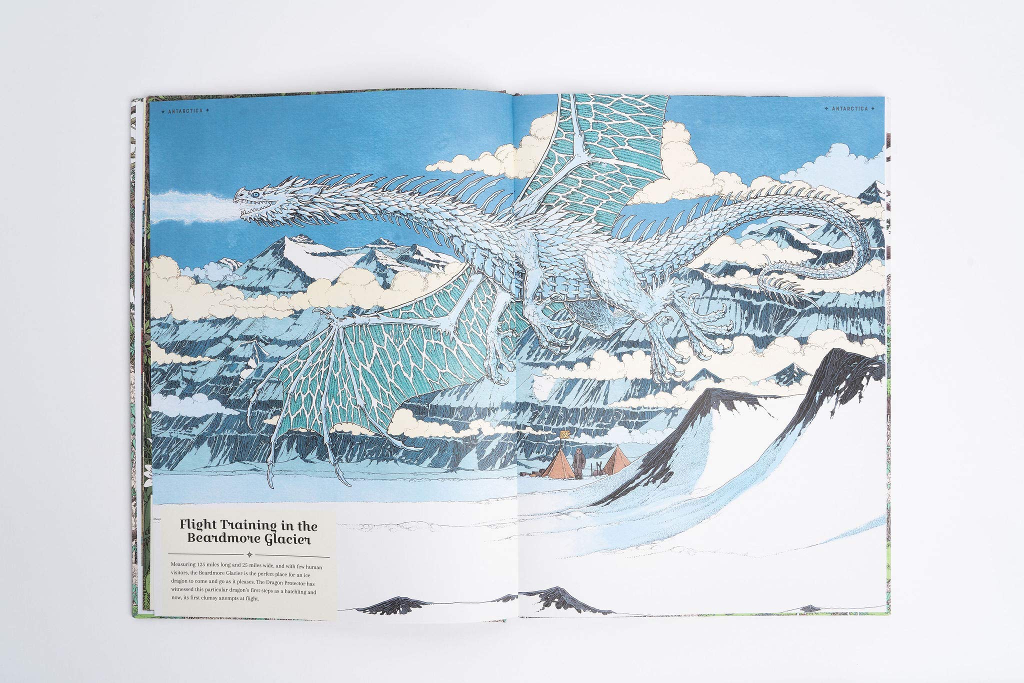 The Dragon Ark