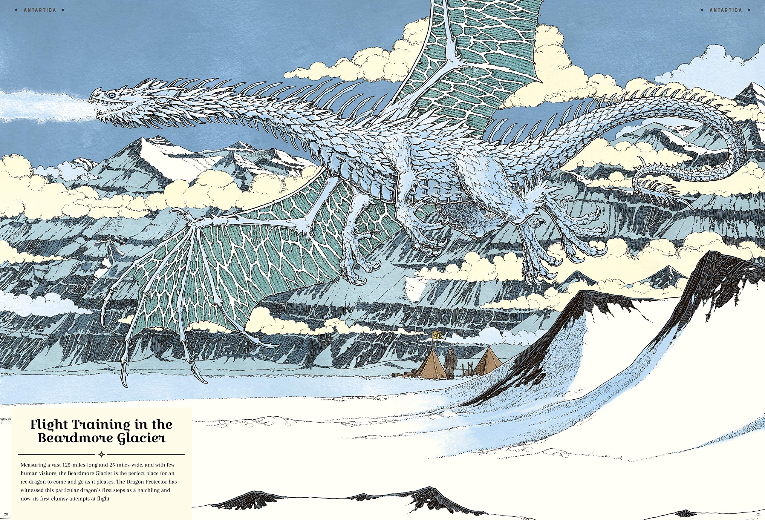 The Dragon Ark