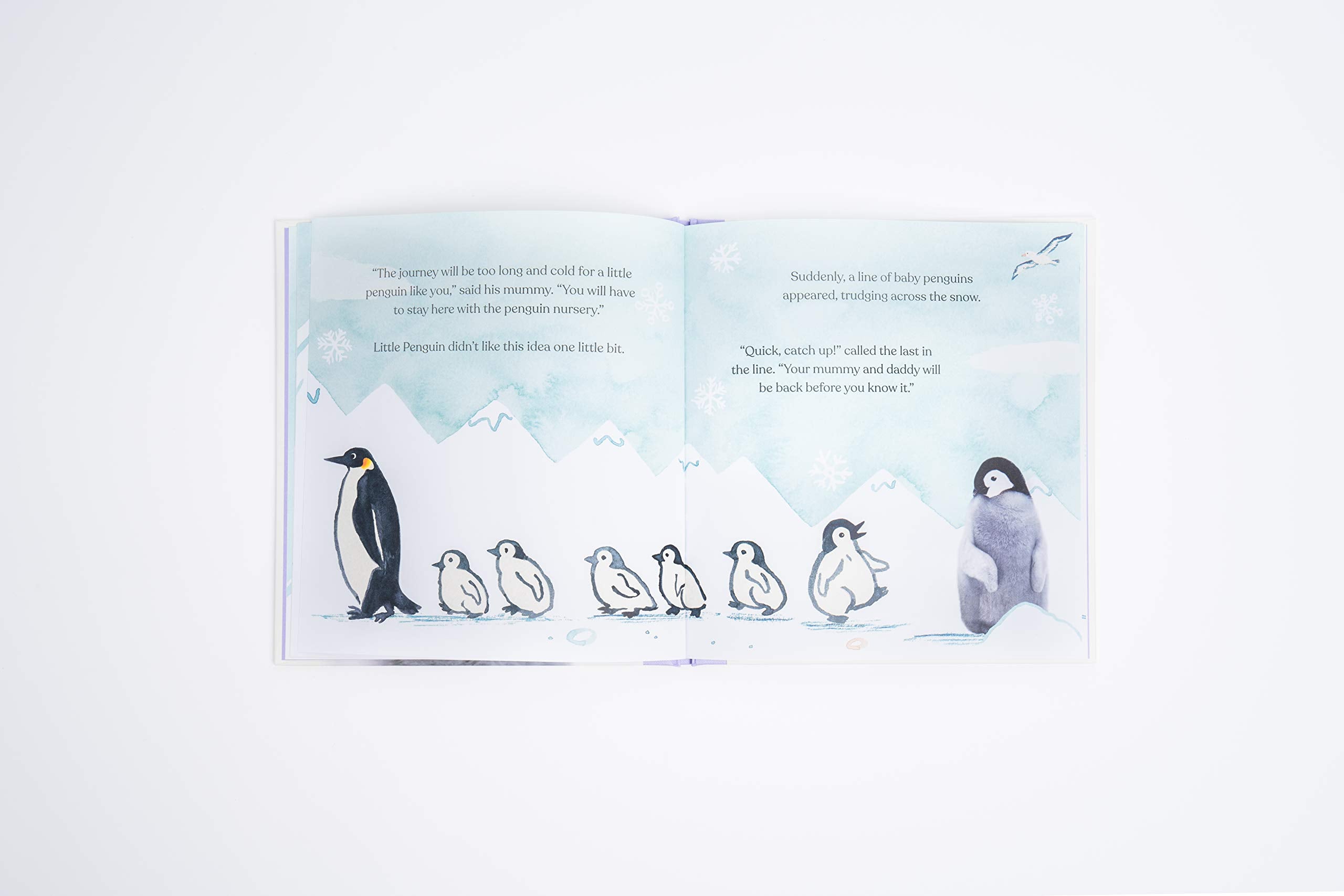 Goodnight, Little Penguin