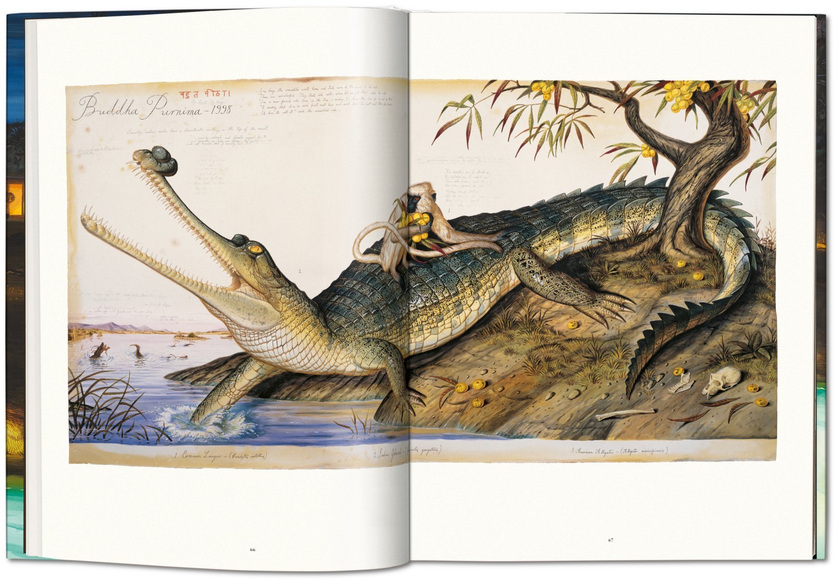 Walton Ford: Pancha Tantra, Updated Edition