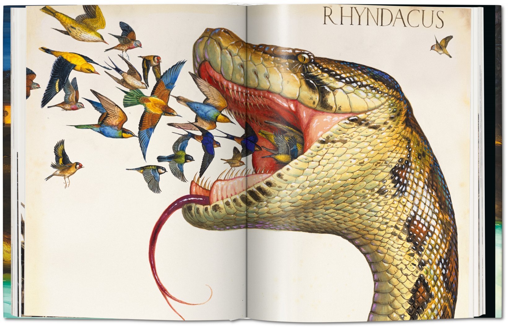 Walton Ford: Pancha Tantra, Updated Edition