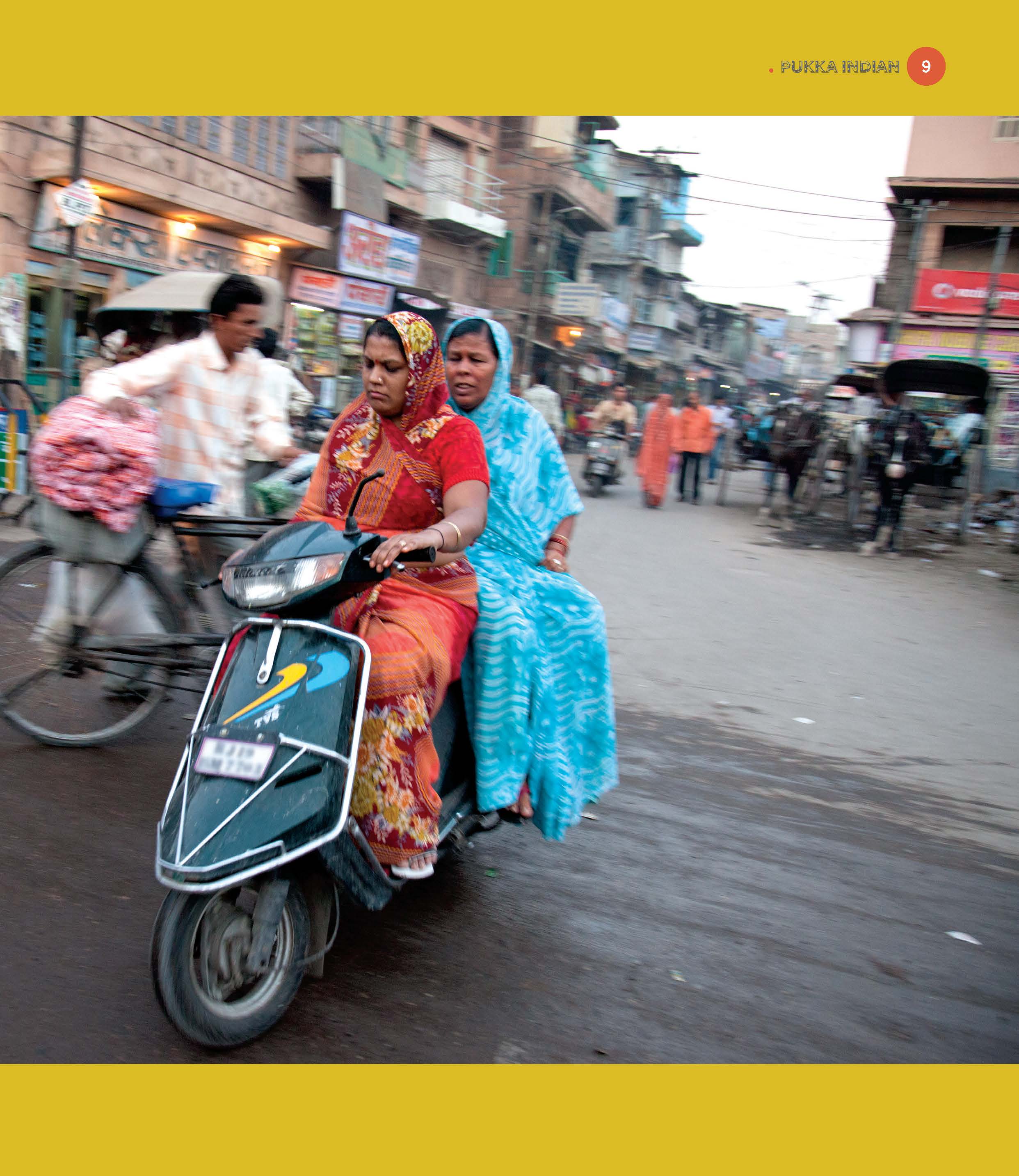 Pukka Indian: 100 Objects That Define India