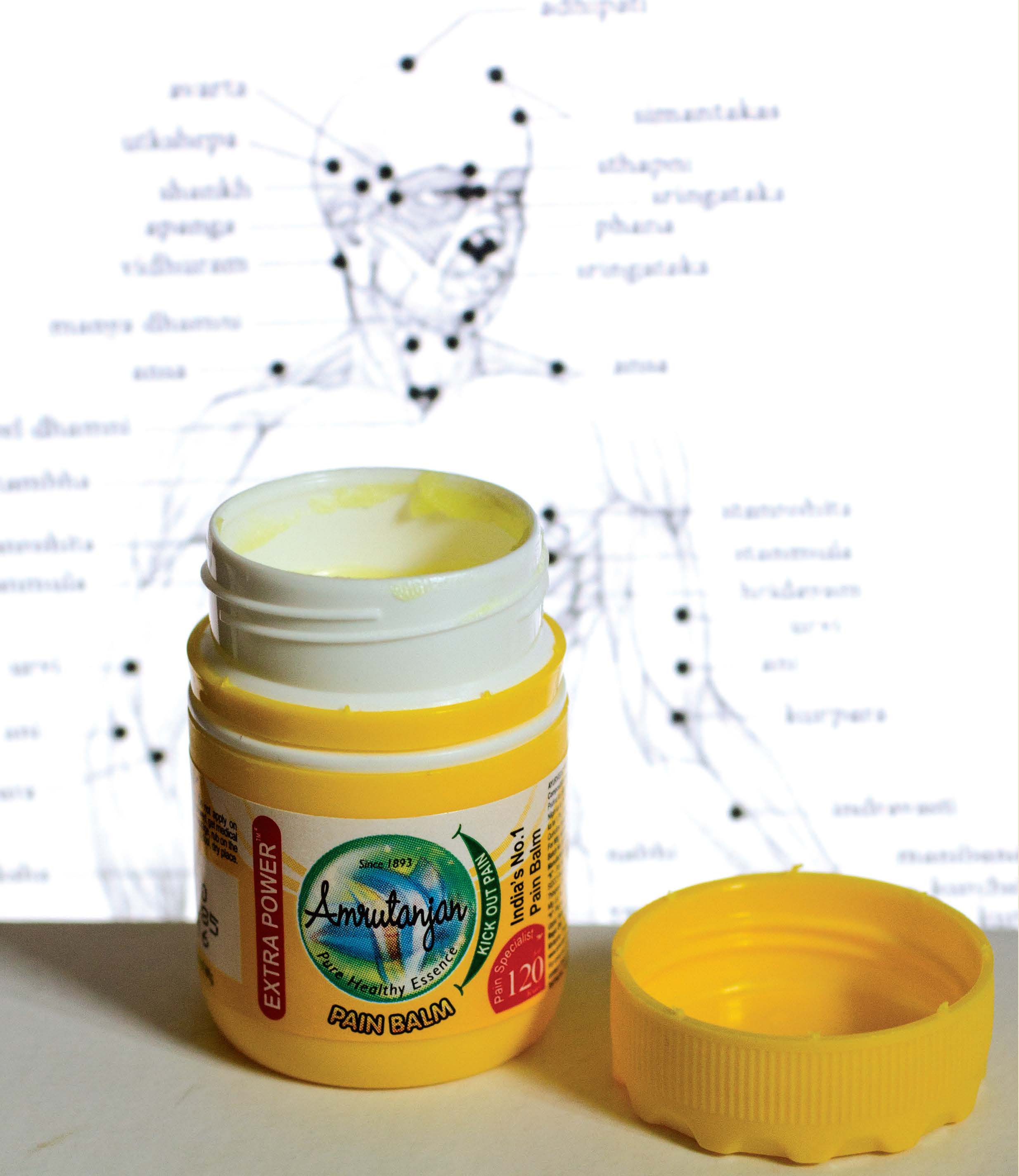 Pukka Indian: 100 Objects That Define India