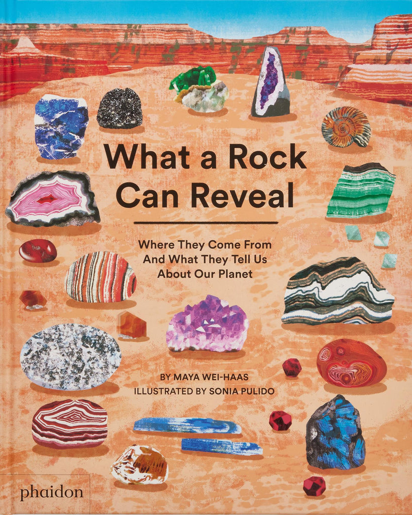 What a Rock Can Reveal: Where They Come From And What They Tell Us Abo ...